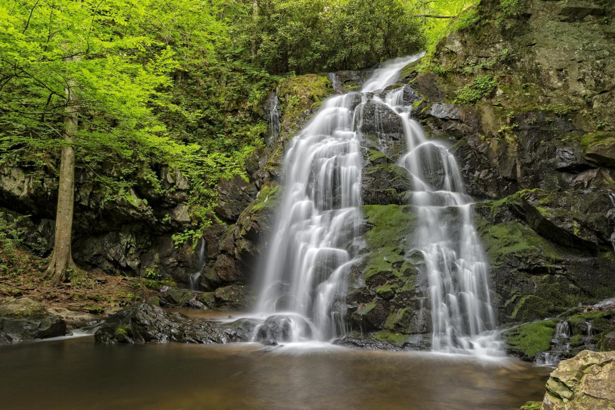 Time To Cuddle, Wifi, Near Pigeon Forge, 1089 Free Tickets Each Paid Day, Dollywood And More Eksteriør bilde